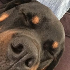 Meet your Posher, Bryan